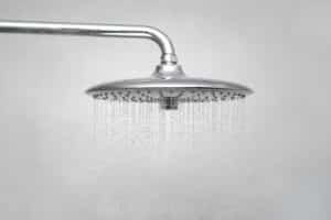 shower head